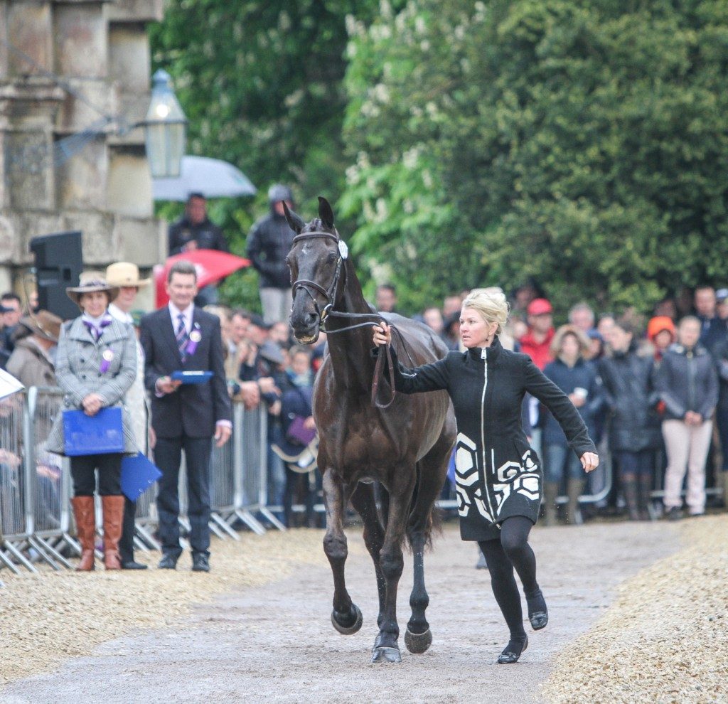 Jonelle Price and Classic Moet - Jonelle's coat was just the thing for the trot up!  (Image Radka Preislerova)