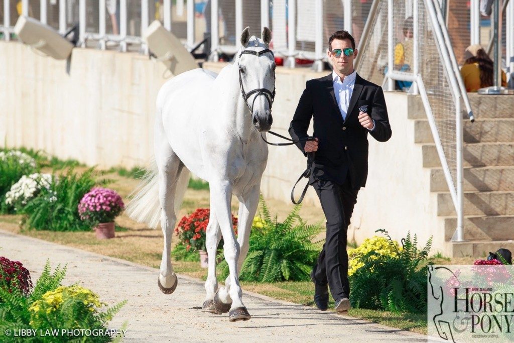 Clarke Johnstone and Balmoral Sensation looking great at the first trot up. (Image: Libby Law) 