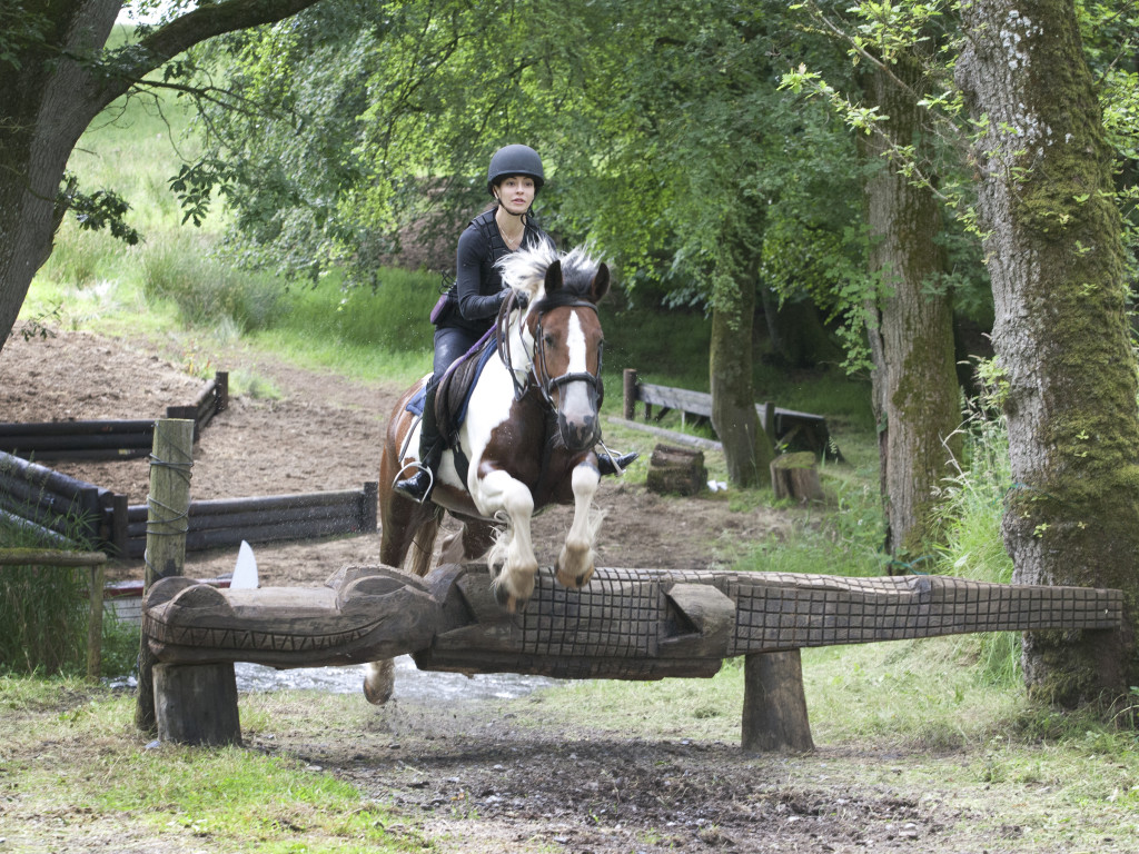 The grounds have around 100 cross-country jumps of all shapes and sizes