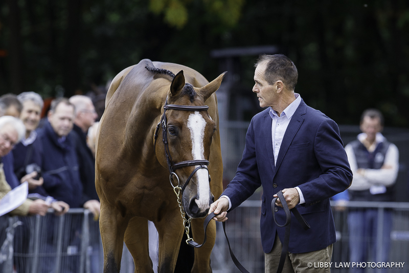 Blyth Tait with Xanthus III at Military Boekelo-Enschede CCIO3* CREDIT: Libby Law COPYRIGHT: LIBBY LAW PHOTOGRAPHY