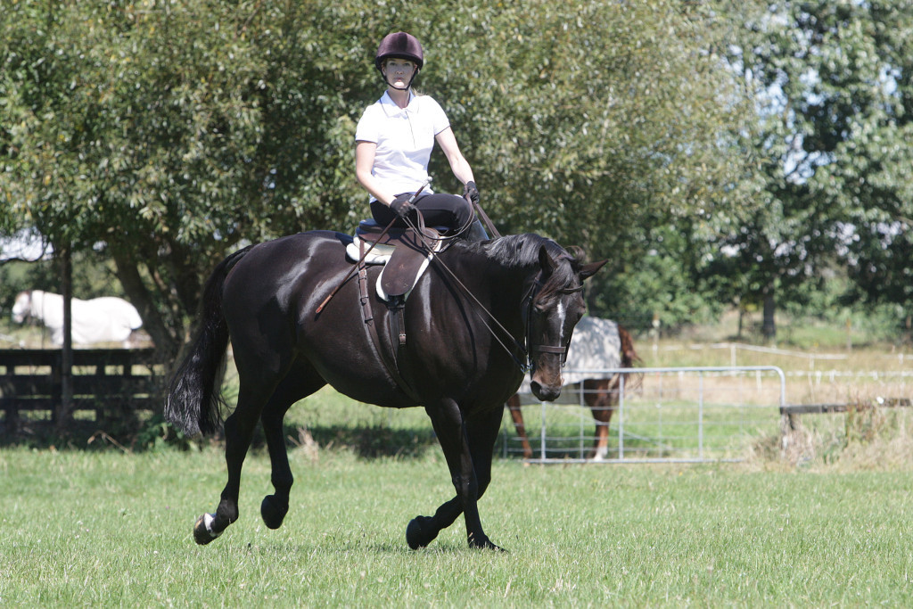 Cantering with Diva: Downton Abbey, here I come!