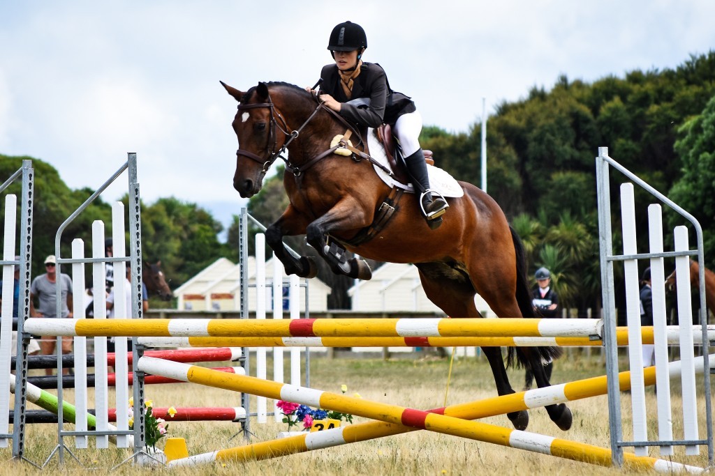 Meg Dempster riding ‘Bombay Sapphire II’ - section and Zilco series winner. Photo thanks to Laura Murray Photography