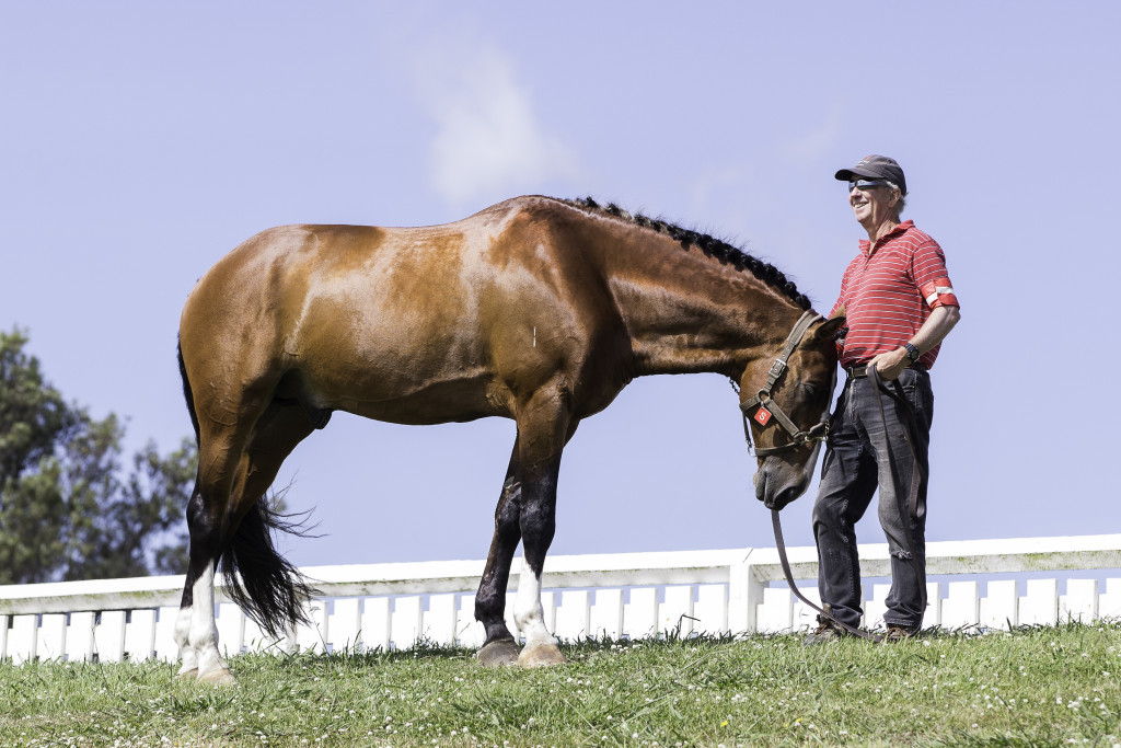 Bowing down to His Royal Billness (Image: Libby Law)