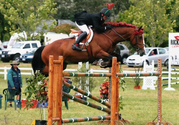 Grand Prix show jumping at the Taupo Christmas Classic with David Nickalls