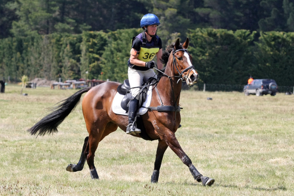 Good balance, both for you and your horse, is the key to a successful round (Image: Annie Studholme)