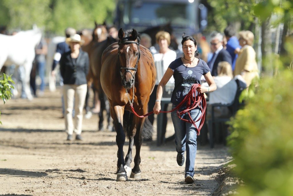 Unita Ask (Image: Stefano Grasso/LGCT)