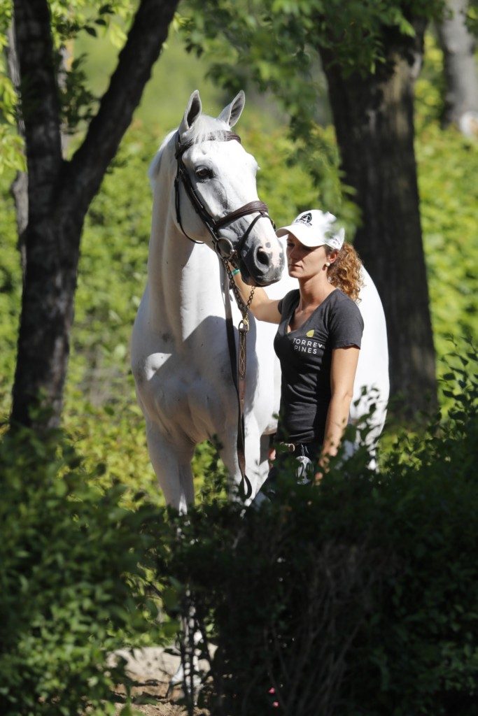 Check Picobello Z (Image: Stefano Grasso/LGCT)