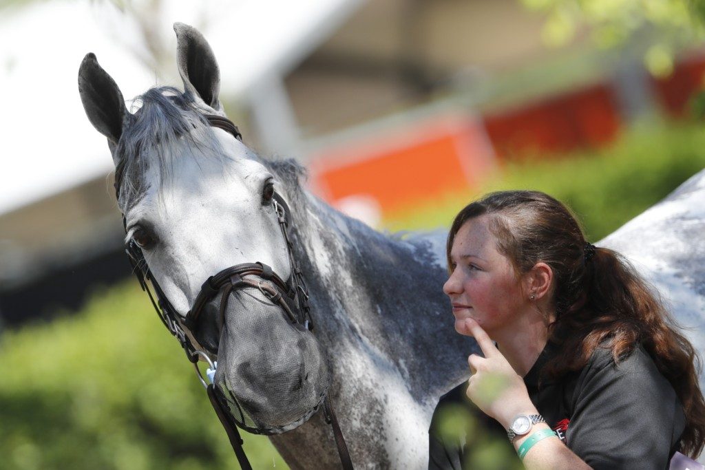 Cornet 39 (Image: Stefano Grasso/LGCT)