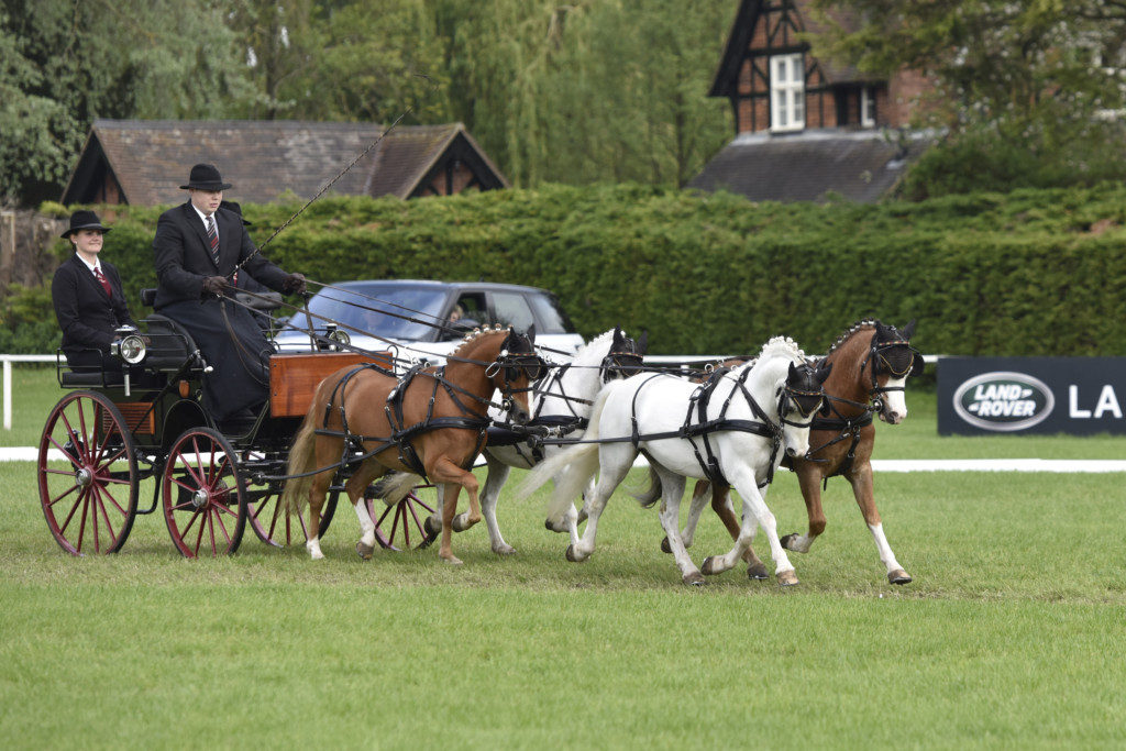 Michael Bugener GER Pony 4 in hand Dressage Phase