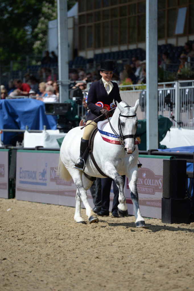 Martin Collins Enterprises Cob Championship winner Victoria Hesford riding Randalstown Musketeer