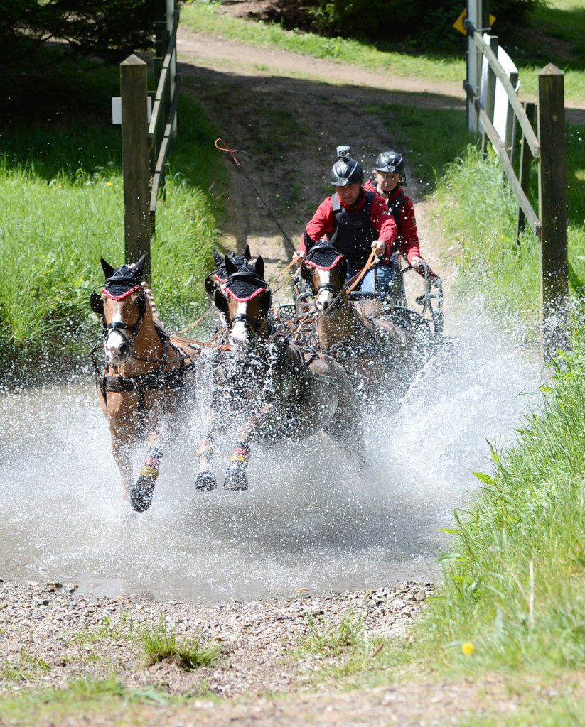 Land Rover International Driving Grand Prix Dieter Hofs with team of ponies