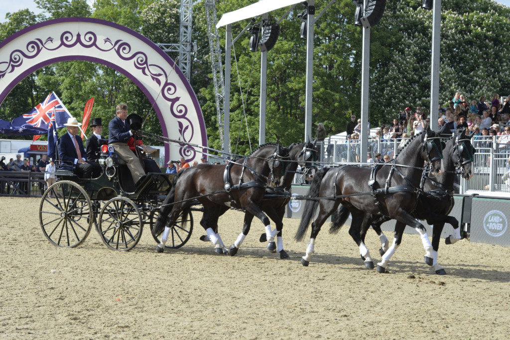 Boyd Exell winner of the Land Rover International Grand Prix with his team of four horses