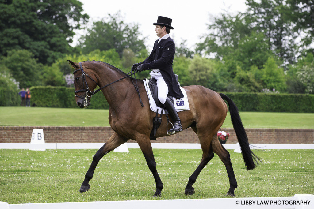 Sam Griffiths and Baurepaire Nemo, sitting fourth after day two of dressage in the CCIO3* (Image: Libby Law)