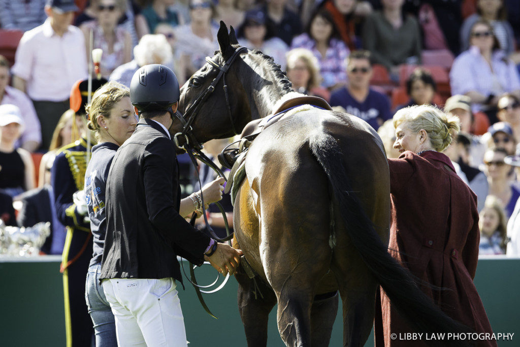 "What's going on?" asks Clifton Promise when Jock started taking his saddle off. (Image: Libby Law Photography) 