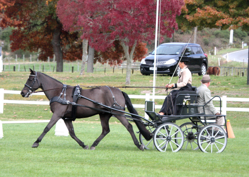 Yvonne Weal and Mt Tulloch Legend