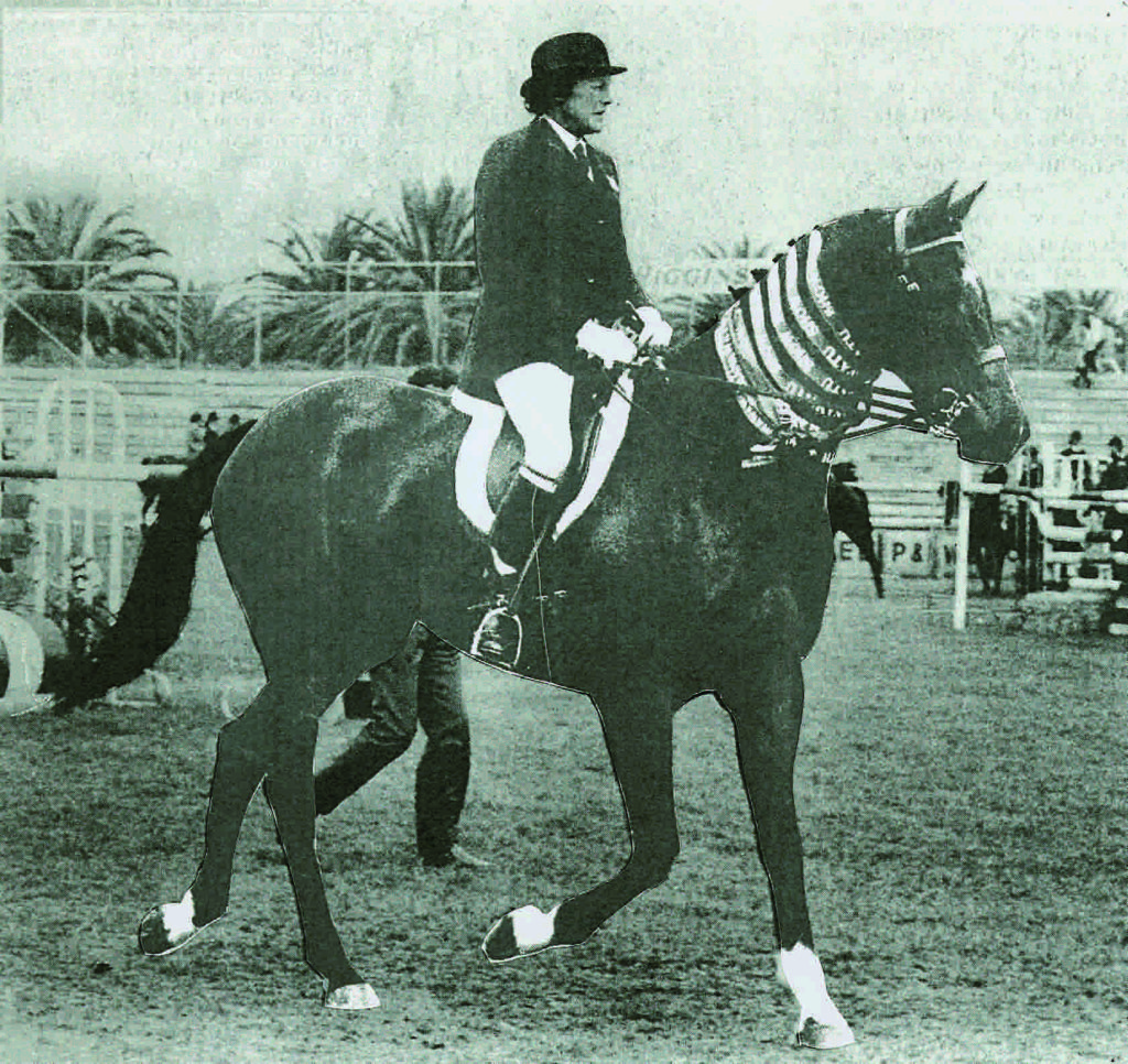 Tiny White and Diablo had many successes in dressage and showing