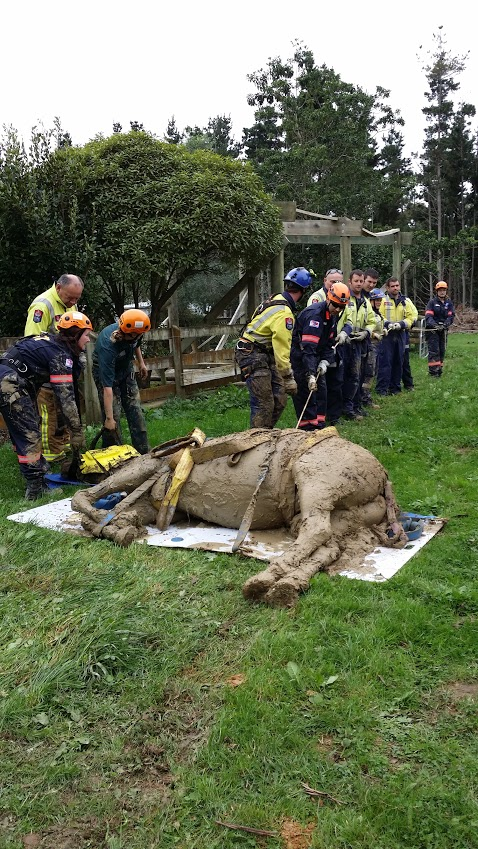 Justin came out of his sedation quickly after being extracted from the drain