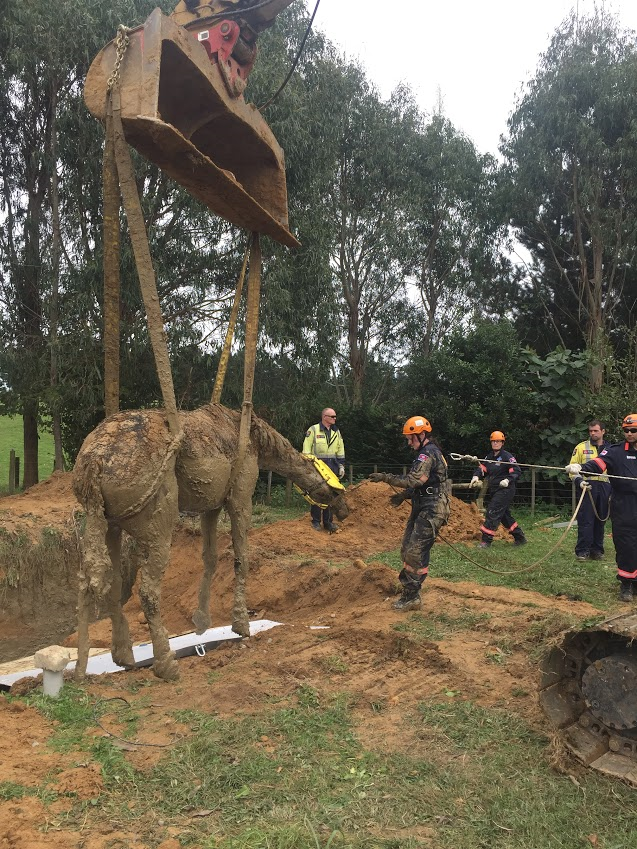 Sedated, Justin is lifted out of the drain and is well on the road to recovery