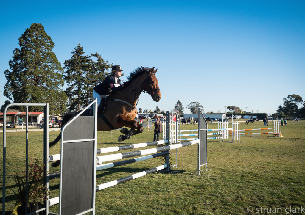 Show jumping time! 