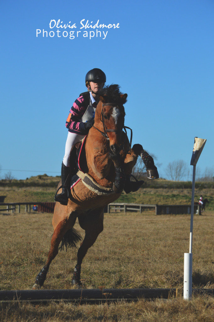 Georgia Alfield was second in the 80cm glass on Just Paddy. They were certainly showing some scope over this fence! (Image: Olivia Skidmore Photography) 