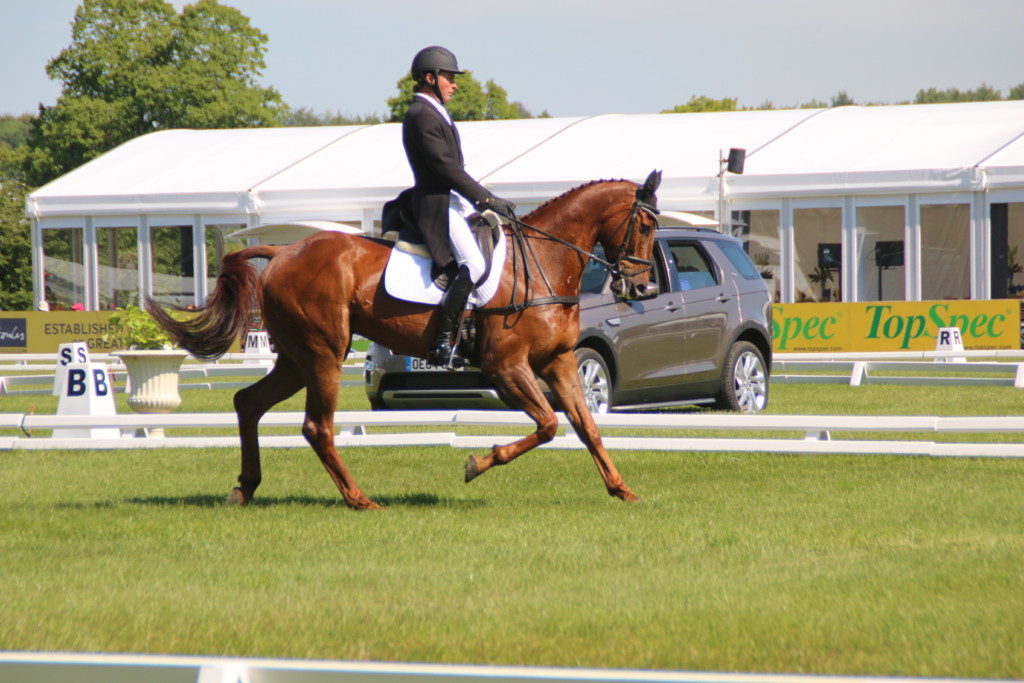 Dan Jocelyn competing on Dassett Cool Touch at last year's Bramham