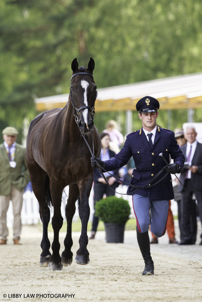 An Italian in uniform for you; Pietro Sandei with Mouse (Image: Libby Law)