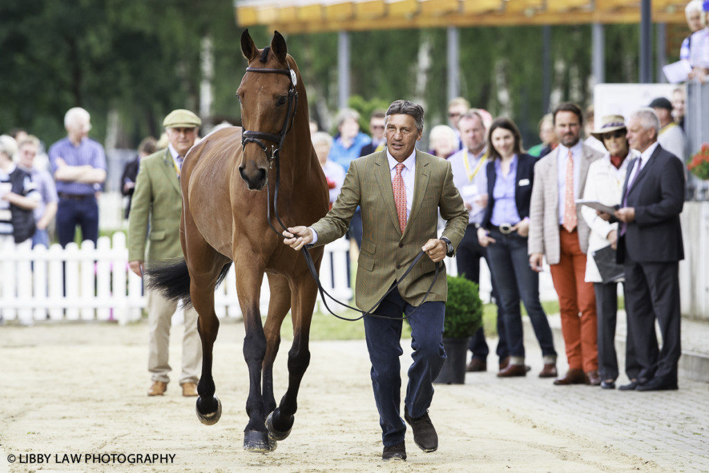 Andrew Nicholson with Qwanza fly through the first horse inspection at Luhmuhlen. (Image: Libby Law)