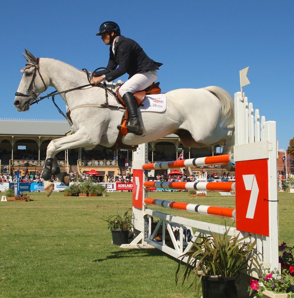 Stuart Tinney and Pluto Mio showjumping at Adelaide 2015 (Image: Jane Thompson)