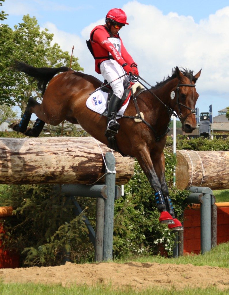 Paul Tapner on Yogi Bear at Tattersalls 2015