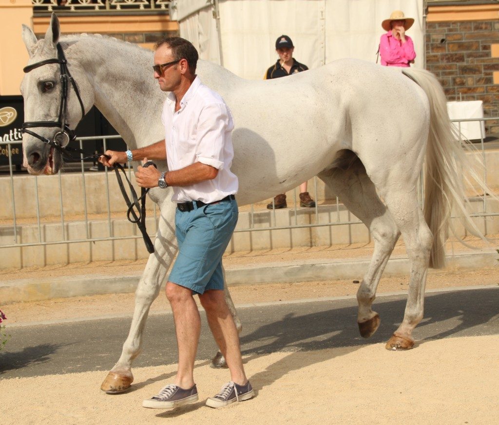 Stuart Tinney and Pluto Mio at Adelaide 2015 