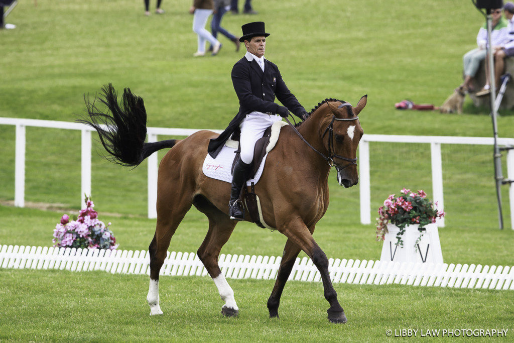 Blyth and Bear; all concentration! Bear Necessity IV is in 28th place in the CIC3* (Image: Libby Law)