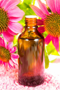 Echinacea, which helps strengthen immunity