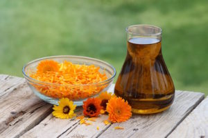 Calendula for cuts and bruises