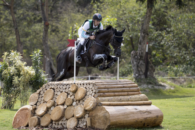 The beautiful Santano II was bred for pure dressage (Image: © Hippo Foto - Dirk Caremans) 