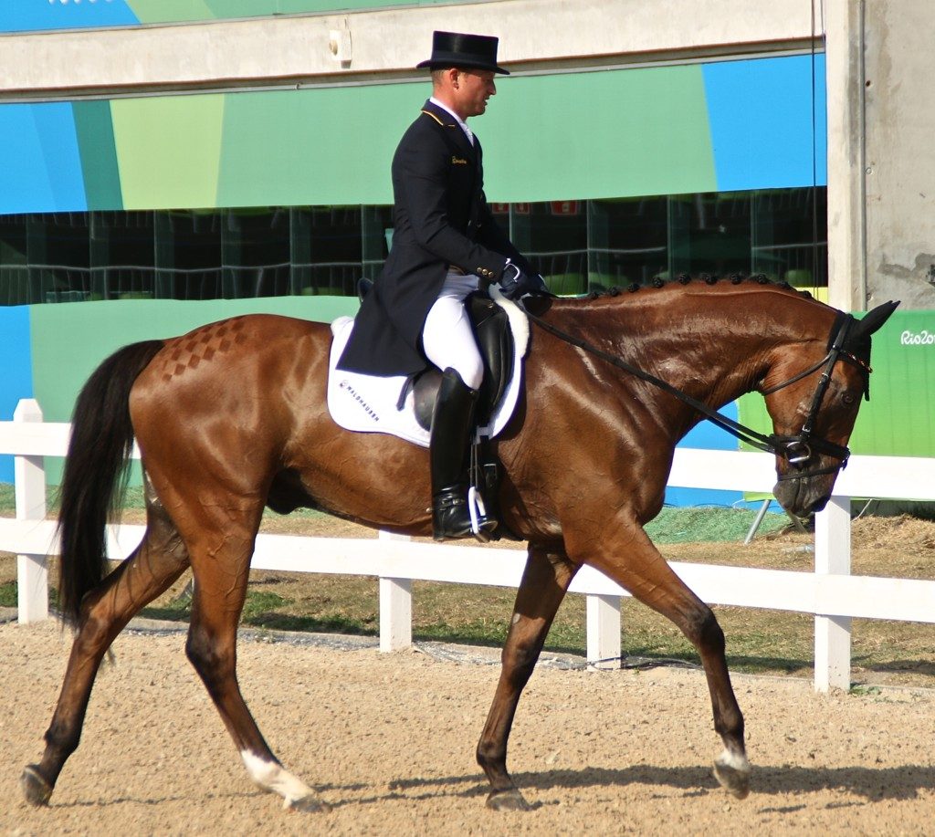 Michael Jung leaves the arena on Sam (Image: Jane Thompson)