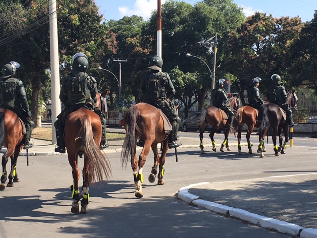 Military horses doing their thing