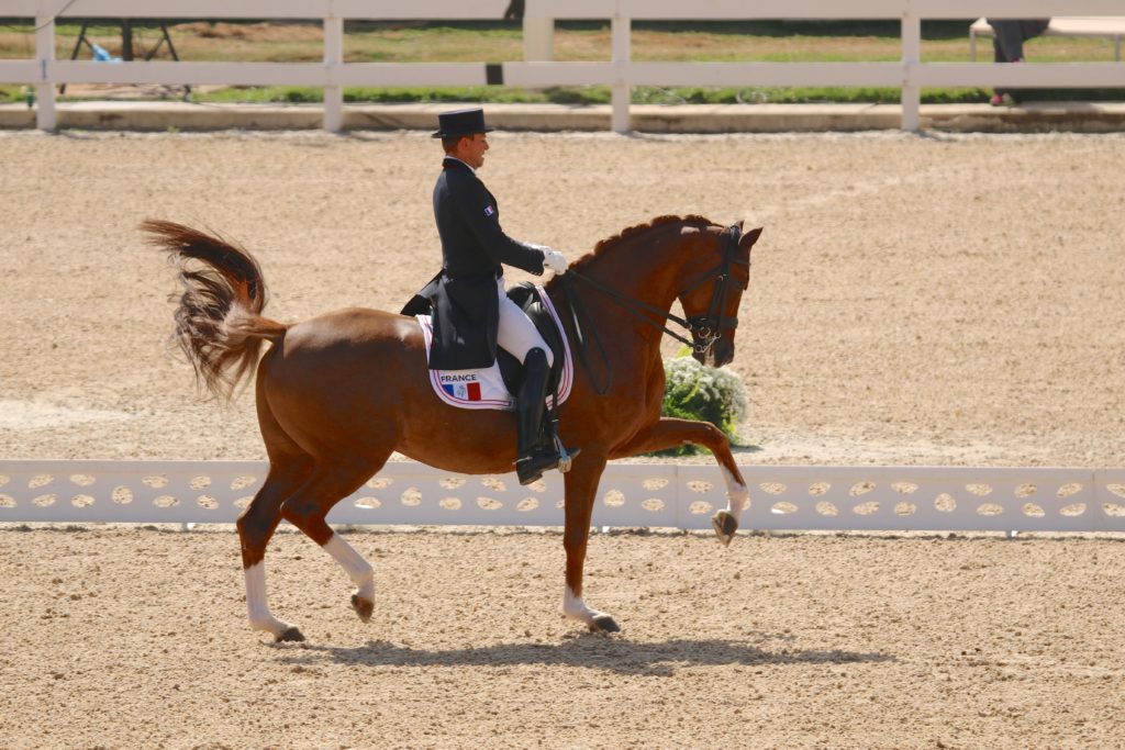 Pierre Volla of France on Badinda Altena (Image: Jane Thompson)