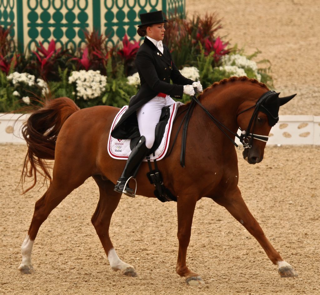 Cathrin Dufour on Cassidy from Denmark (Image: Jane Thompson)