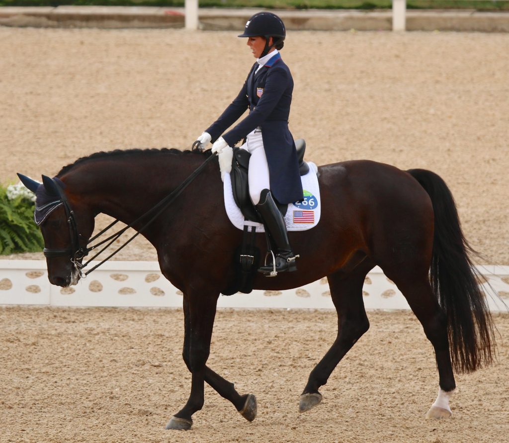 Allison Brock and Rosevelt ended up being the last rider to qualify for the freestyle, on 73.824% (Image: Jane Thompson) 