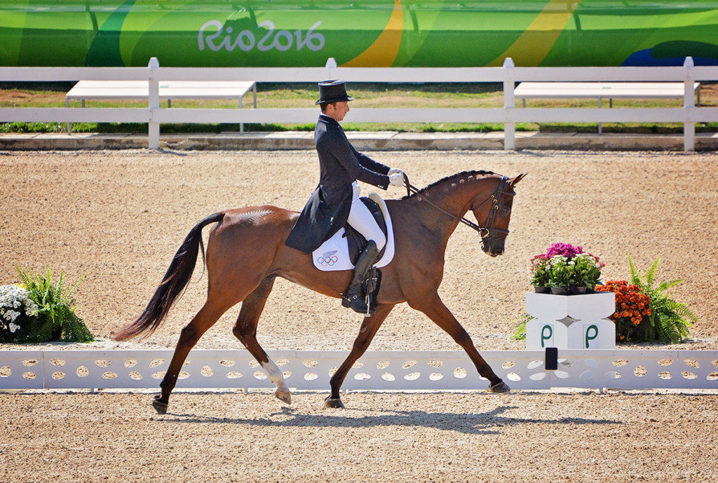 Tim Price and Ringwood Sky Boy proudly showing their silver ferns. (Image: Jenni Autry, Eventing Nation) 