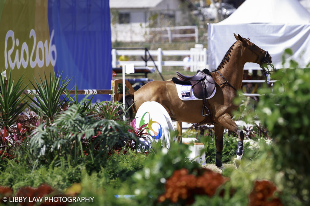 AUS-Scott Keach rides Fedor in the 2nd Individual Qualifier and Team Qualifing Round for Equestrian Jumping. Rio 2016 Olympic Games, Centro Olímpico de Hipismo, Rio de Janeiro, Brazil. Tuesday 16 August. Copyright photo: Libby Law Photography