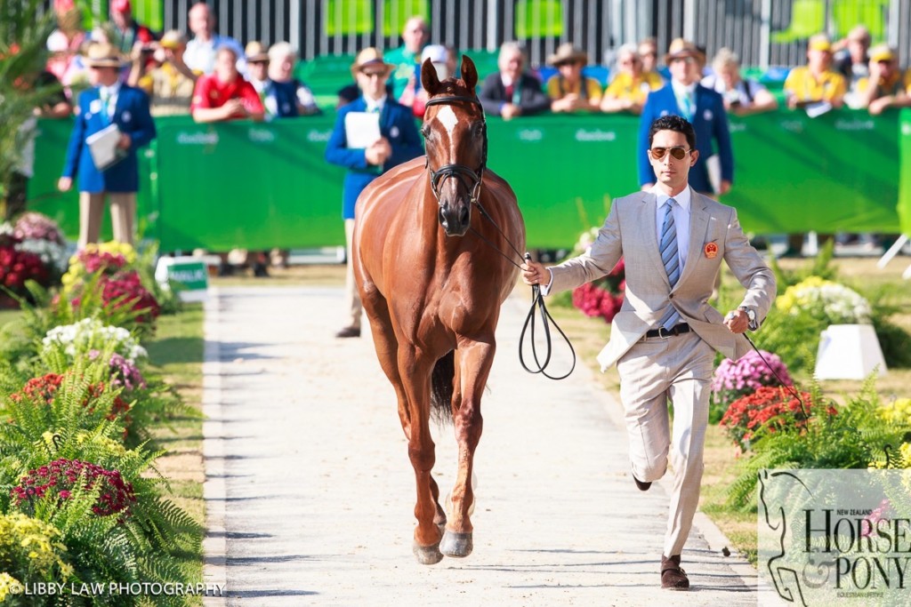 Alex Hua Tian represents China as the only equestrian rider. His horse is Don Geniro. (Image: Libby Law)