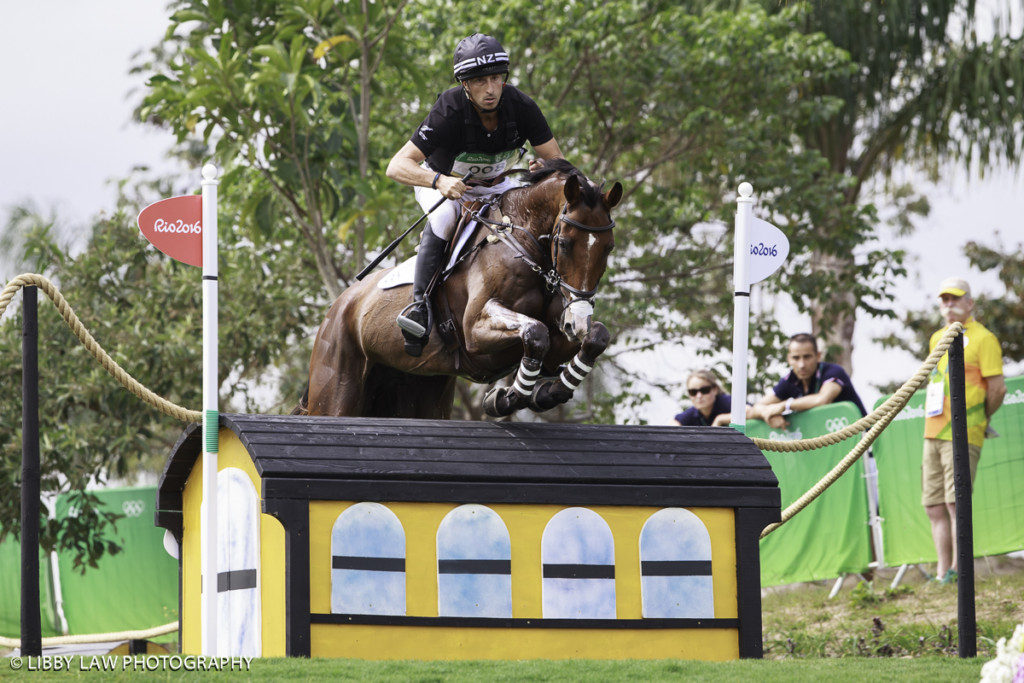 Tim Price and Ringwood Sky Boy were having a cracker round until their unfortunate slip (Image: Libby Law)