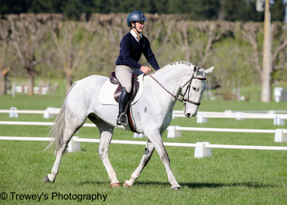 Rebecca Anthony riding Otare Sarge, from Nga Tawa, came 4th in her dressage group (Image: Trewey's Photography). 