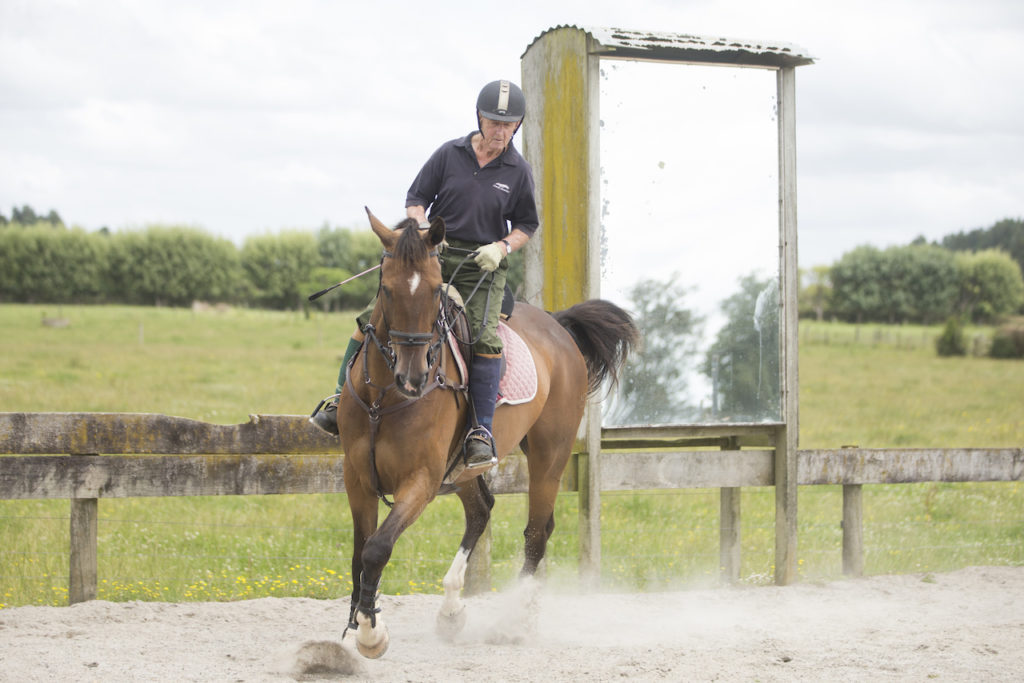 Dsvid Goodin and Rastas Rebel (Image: NZHP)