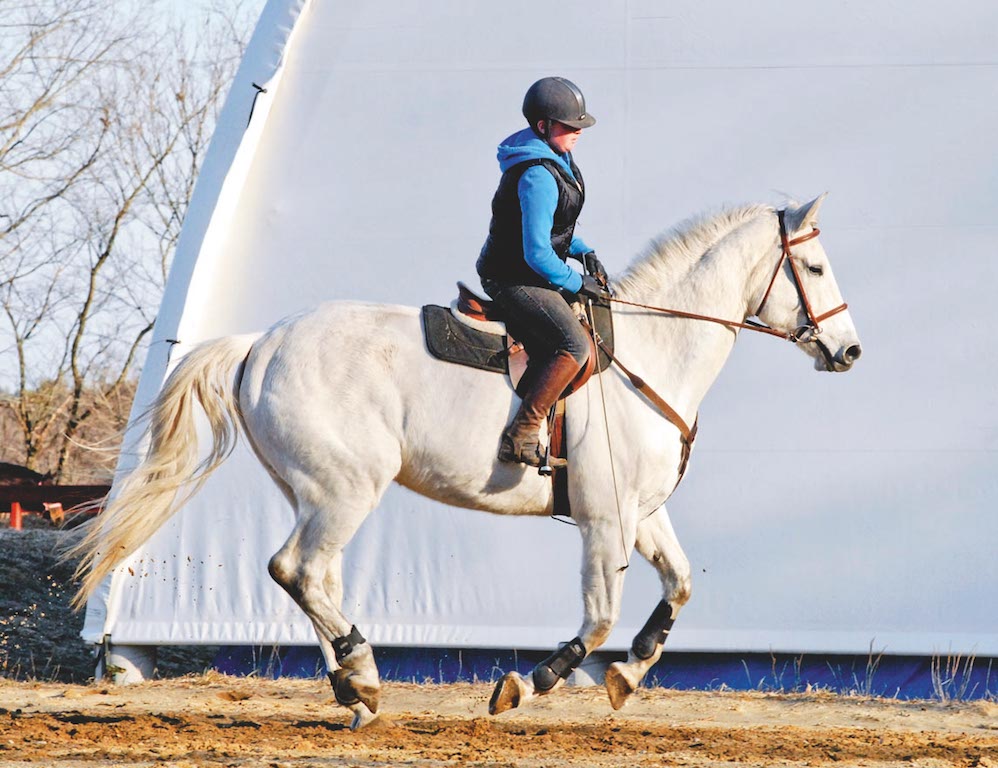 The nice lifting phase of canter can be difficult to capture, because of the time delay of the camera (Image: Dusty Perin)