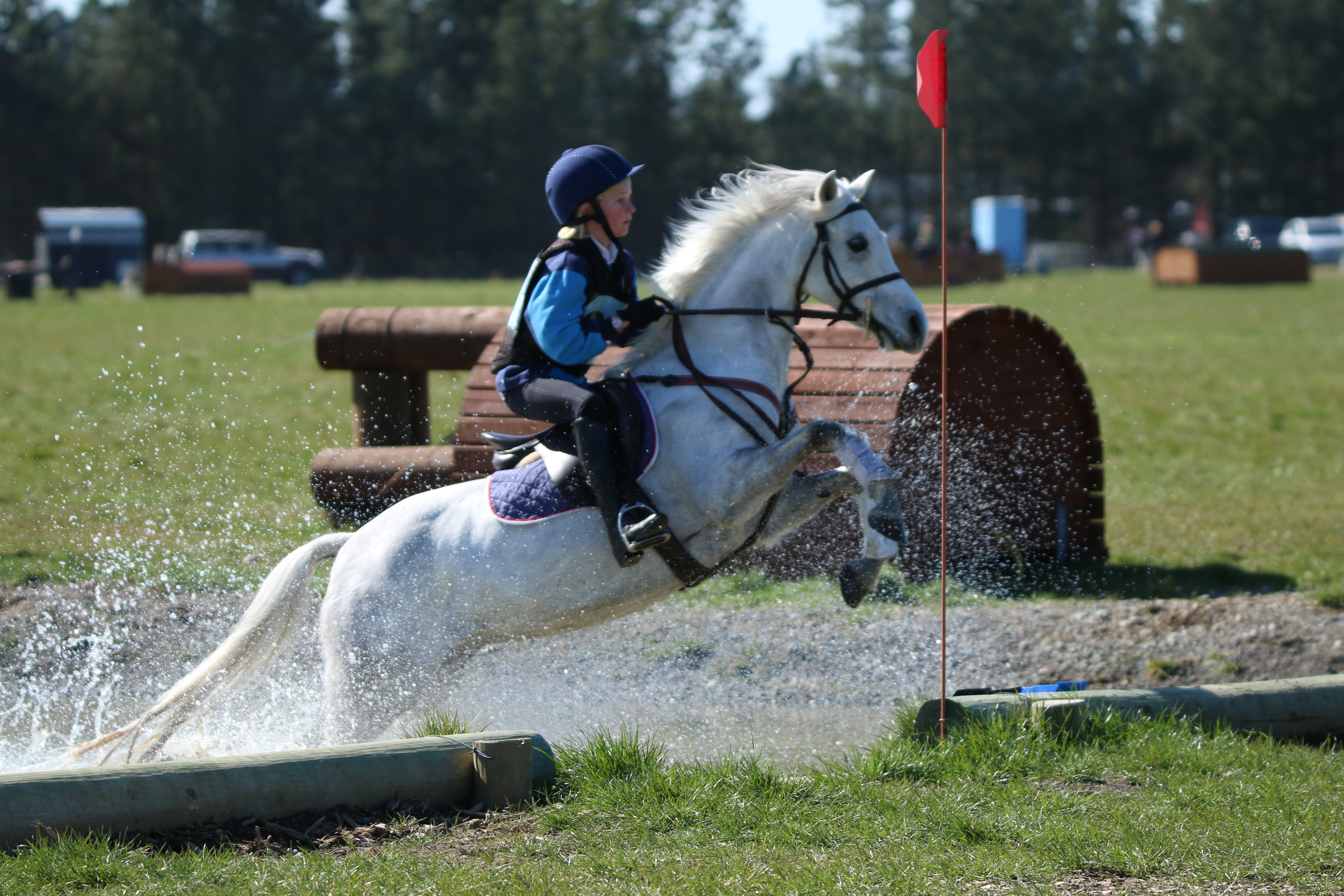Johanna Wylaars on Corivale Fairylights will be competing in the Junior competition riding for Eyreton Navy. 