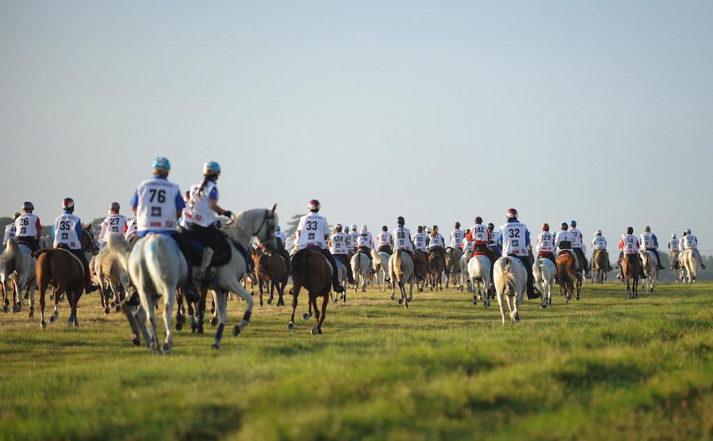 Equestrian - FEI World Endurance Championships - Euston Park - 25/8/12 Longines FEI World Endurance Championship (Image: Action Images / Henry Browne)