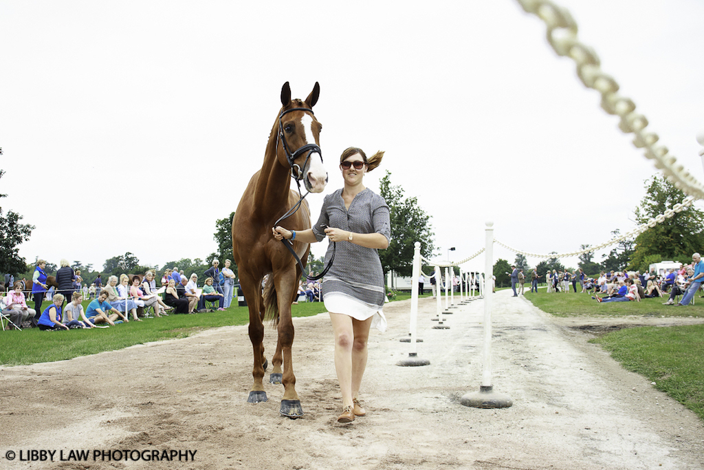 NZL-Lizzie Green with Havanna Vant Castanaehof during the CCI3* First Horse Inspection at the 2016 Blenheim Palace International Horse Trial. Wednesday 7 September. Copyright Photo: Libby Law Photography