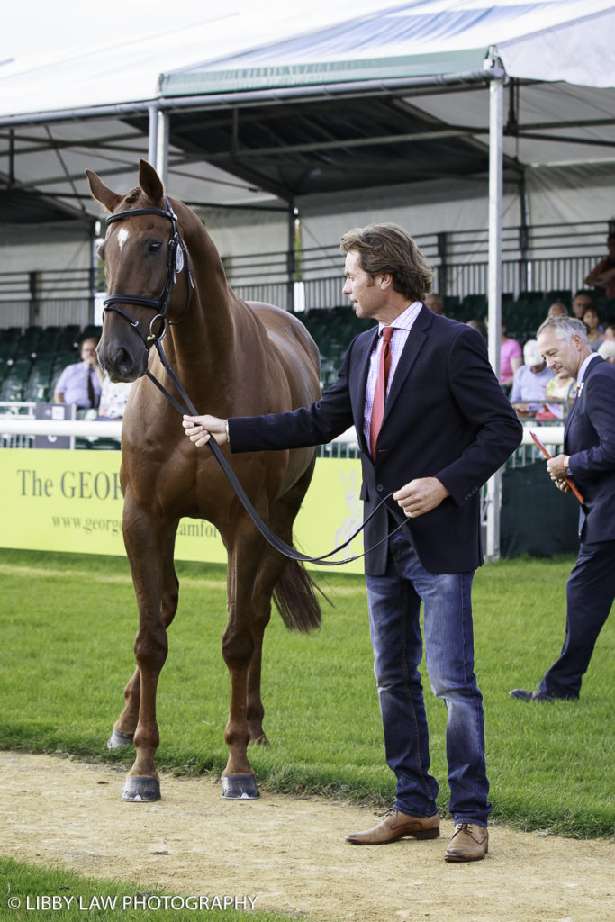 NZL-Dan Jocelyn with Dassett Cool Touch during the CCI4* First Horse Inspection at the 2016 Land Rover Burghley Horse Trials. Wednesday 31 August. Copyright Photo: Libby Law Photography